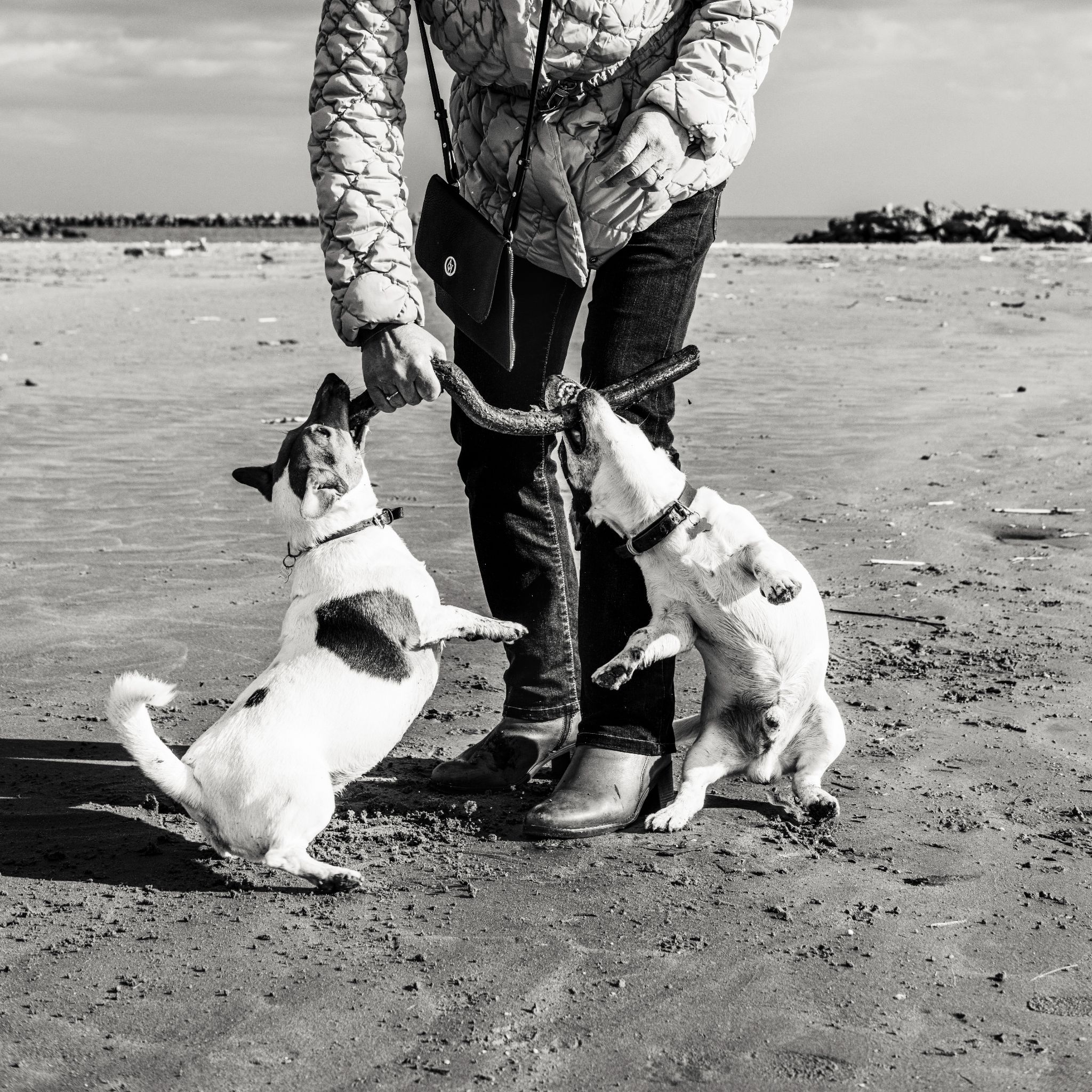 Christelle, Batman & Robin